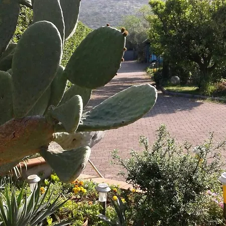 Idylle سبرلونغا