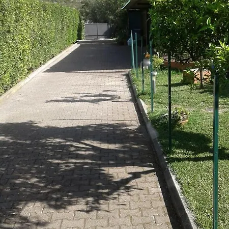 Idylle * سبرلونغا